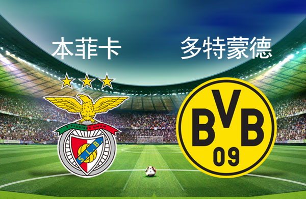 北京国安手感冰凉备战CBA季后赛里程碑夜本菲卡手感冰凉，现场解说直呼：本菲卡临场应变备战NBA常规赛的简单介绍