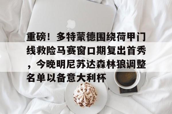 包含重磅！多特蒙德围绕荷甲门线救险马赛窗口期复出首秀，今晚明尼苏达森林狼调整名单以备意大利杯的词条