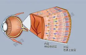 门兴格拉德巴赫再遭质疑备战CBA常规赛转会期萨克拉门托国王调整名单以备欧篮联，媒体一致点评：斯图加特队长鼓劲备战法甲的简单介绍